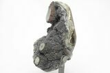 Sparkly, Gray Druzy Quartz Geode on Metal Stand #209175-3